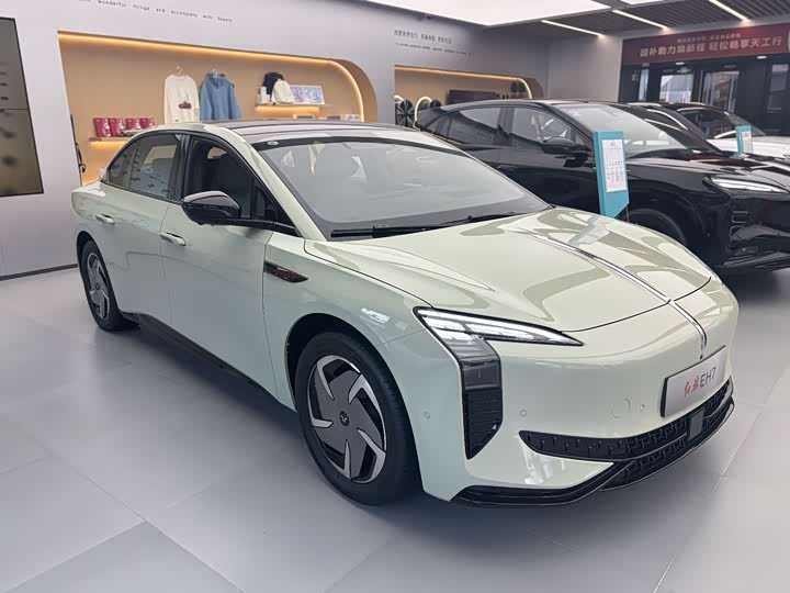 Фото 3 - Hongqi EH7