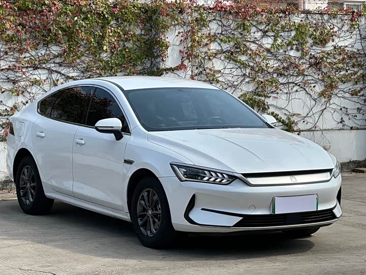 Фото 4 - BYD Qin Plus