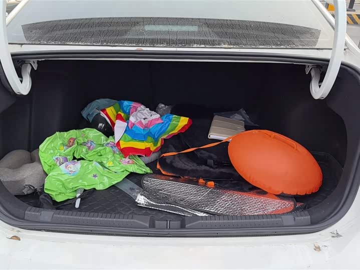 Фото 4 - Volkswagen Lavida