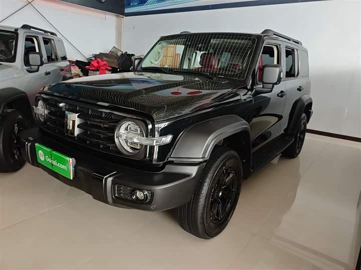 Фото 2 - Tank 300