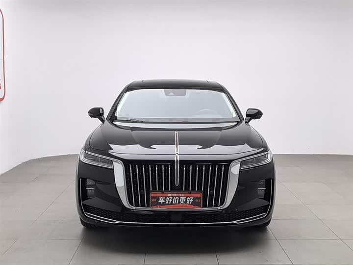 Фото 3 - Hongqi H9