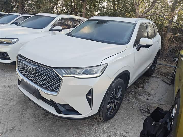 Фото 1 - Haval H6