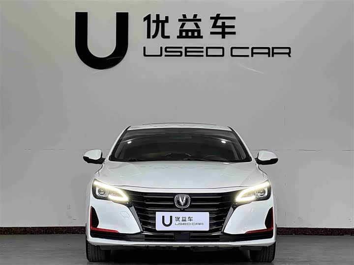 Фото 2 - Changan Raeton CC