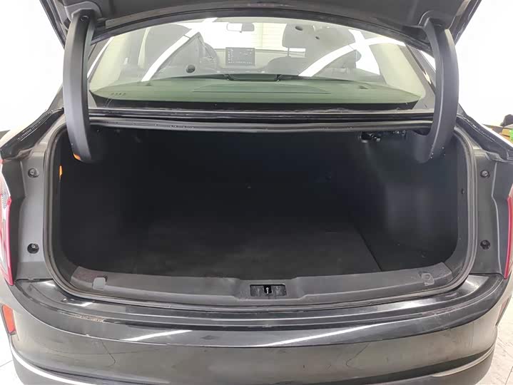 Фото 4 - Hongqi E-QM5