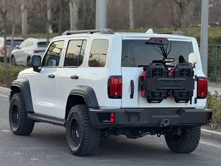 Фото 4 - Tank 300