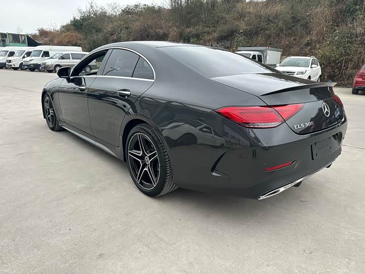 Фото 2 - Mercedes-Benz CLS-Class