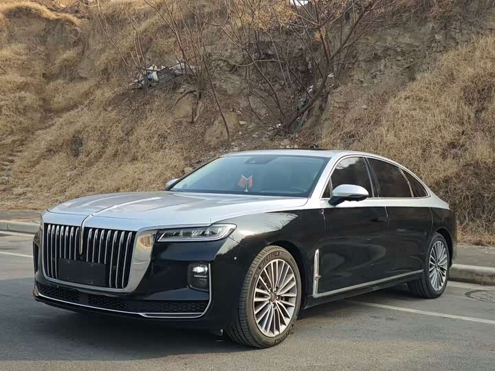 Фото 1 - Hongqi H9