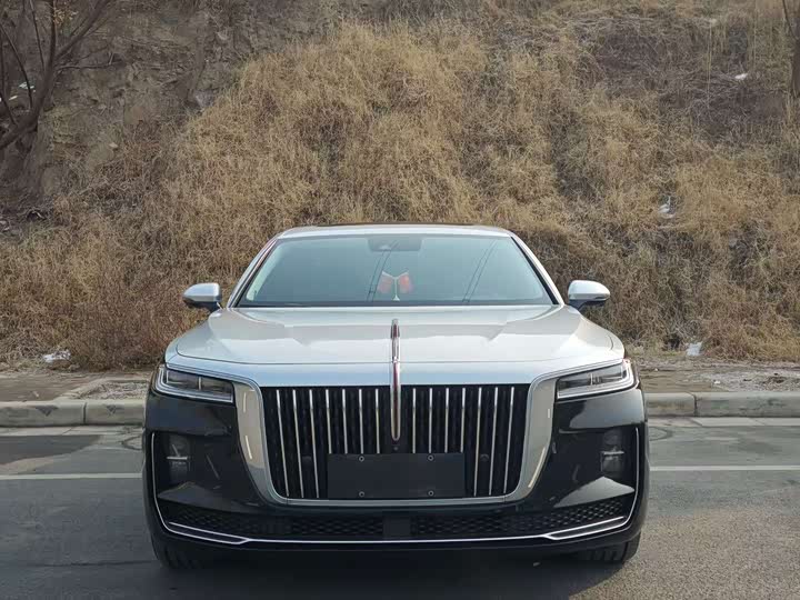 Фото 2 - Hongqi H9