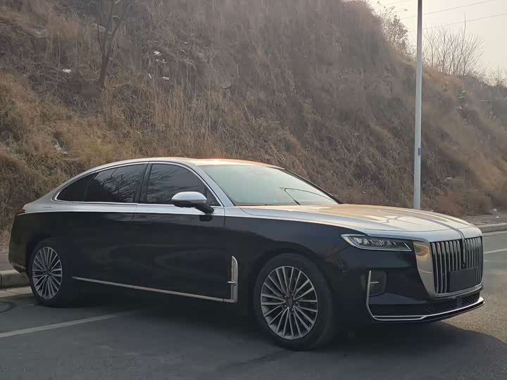 Фото 3 - Hongqi H9