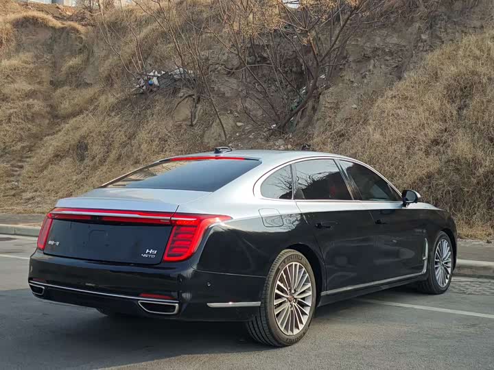 Фото 7 - Hongqi H9