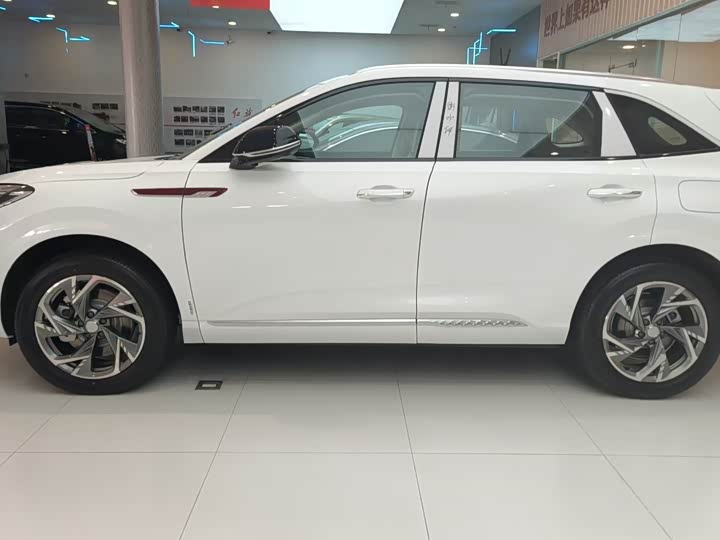 Фото 2 - Hongqi HS3 Hybrid