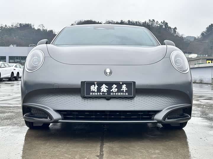 Фото 2 - Ora Lightning Cat (07)