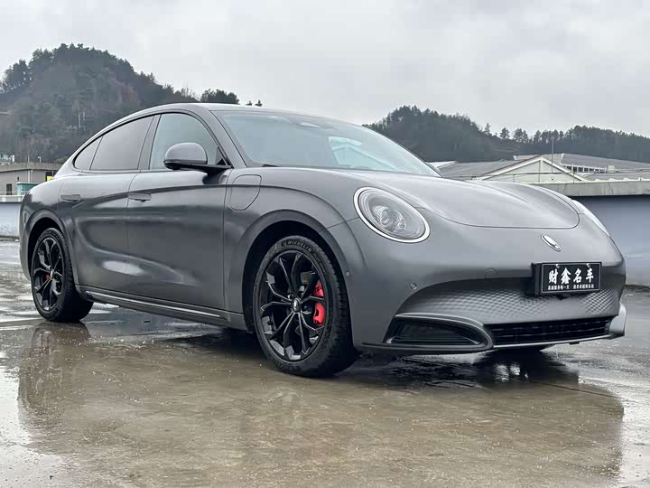 Фото 3 - Ora Lightning Cat (07)