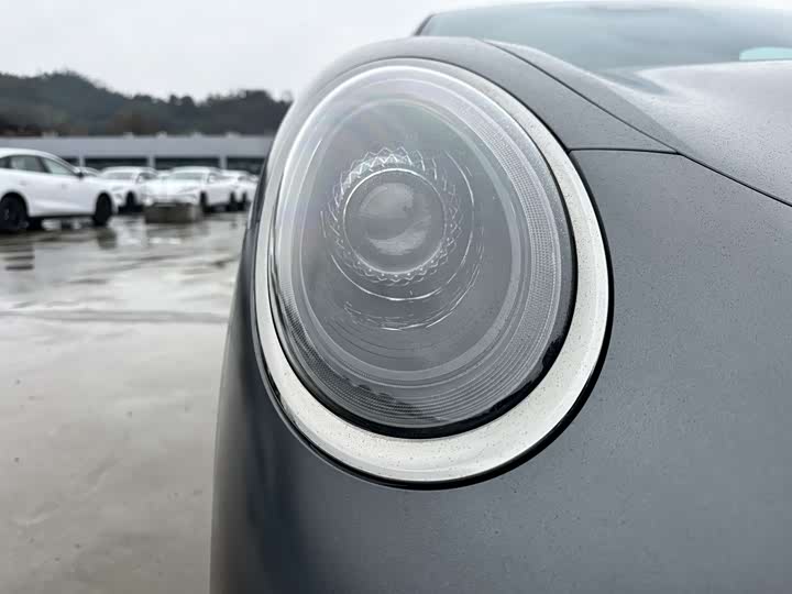 Фото 4 - Ora Lightning Cat (07)