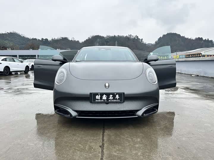 Фото 6 - Ora Lightning Cat (07)