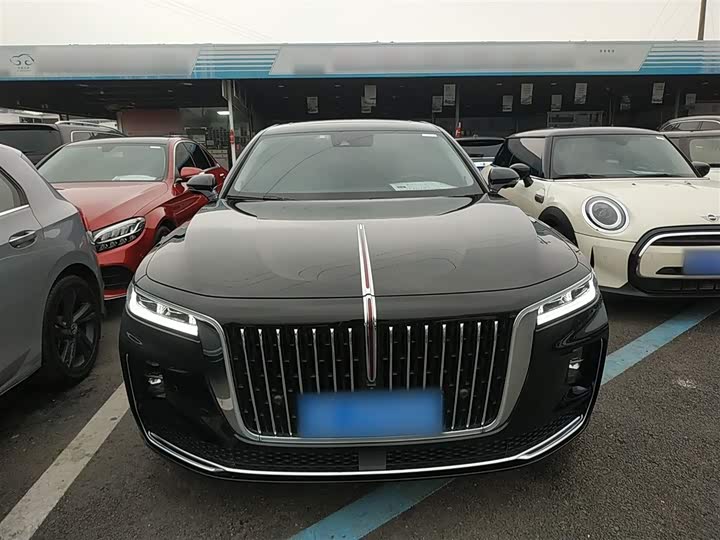 Фото 3 - Hongqi H9