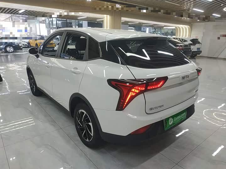 Фото 5 - Hozon V