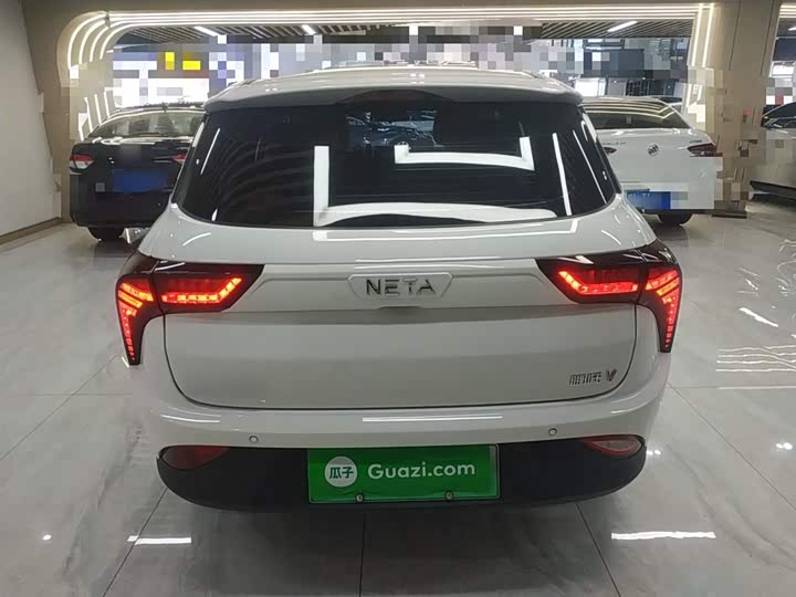 Фото 6 - Hozon V