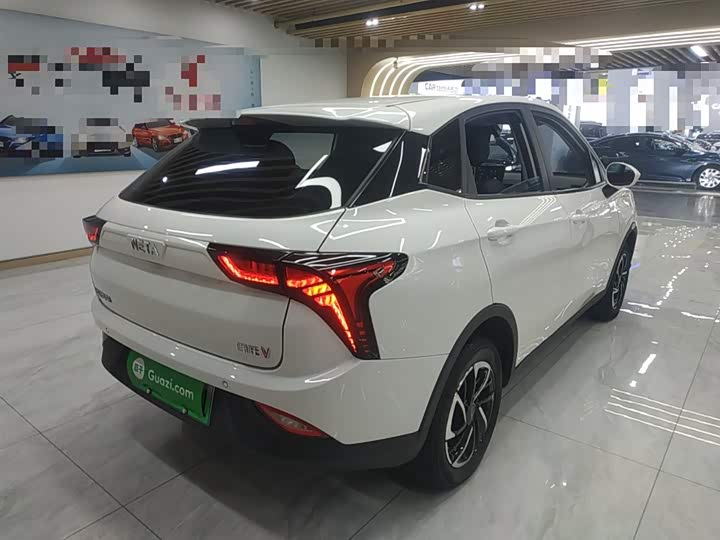 Фото 7 - Hozon V