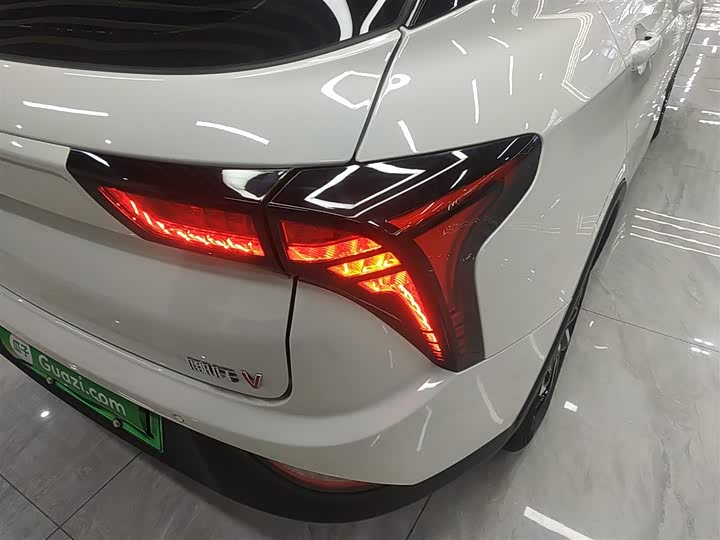 Фото 8 - Hozon V