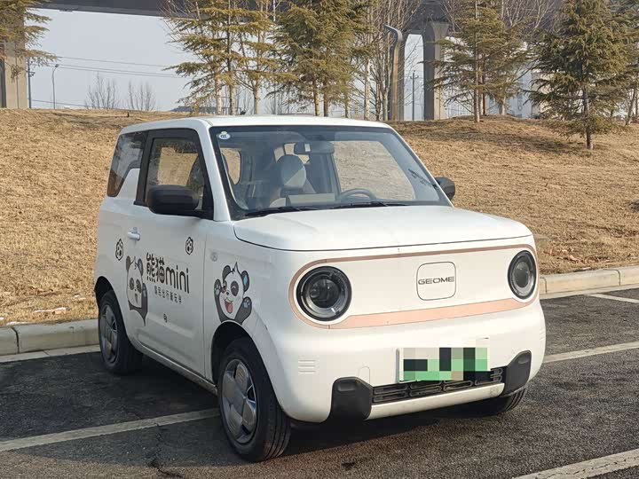 Фото 2 - Geely Galaxy Panda Mini
