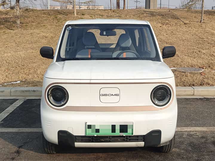 Фото 3 - Geely Galaxy Panda Mini