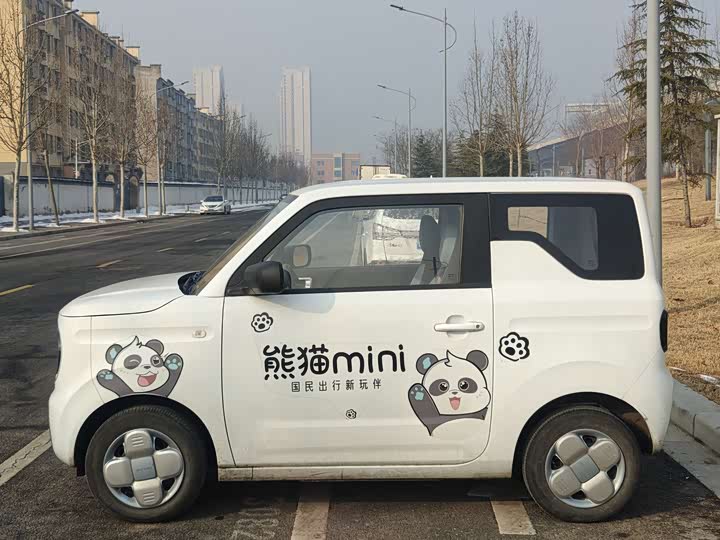 Фото 7 - Geely Galaxy Panda Mini