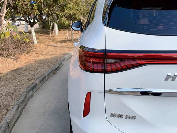 Фото 9 - Haval H6