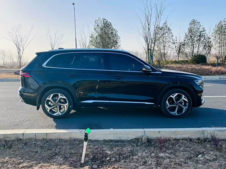 Фото 9 - Geely Monjaro