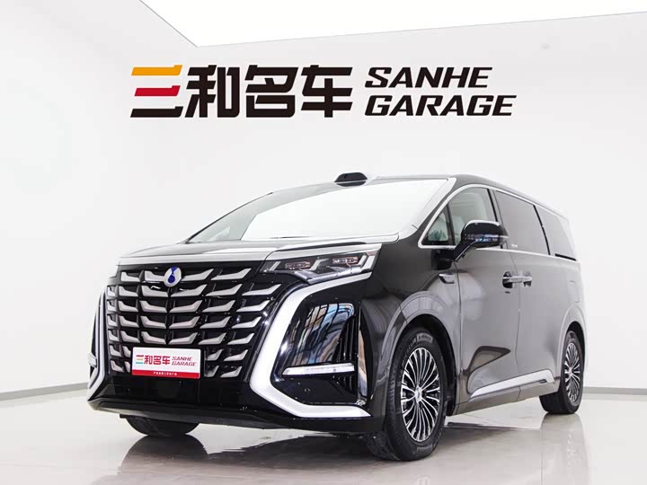 Фото 1 - Denza D9