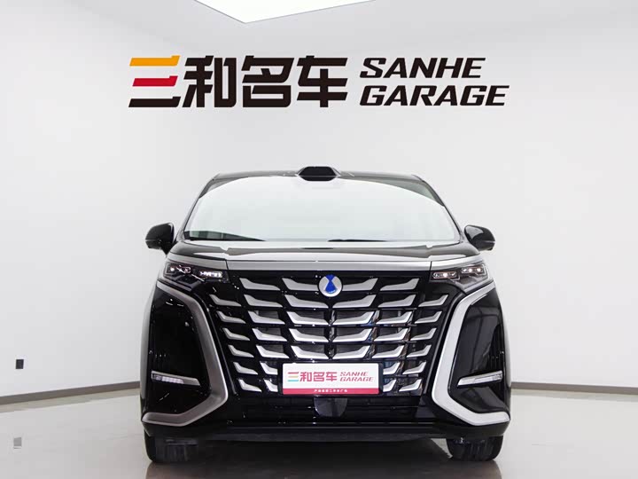 Фото 2 - Denza D9