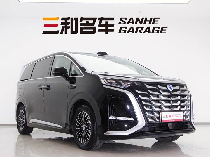 Фото 3 - Denza D9