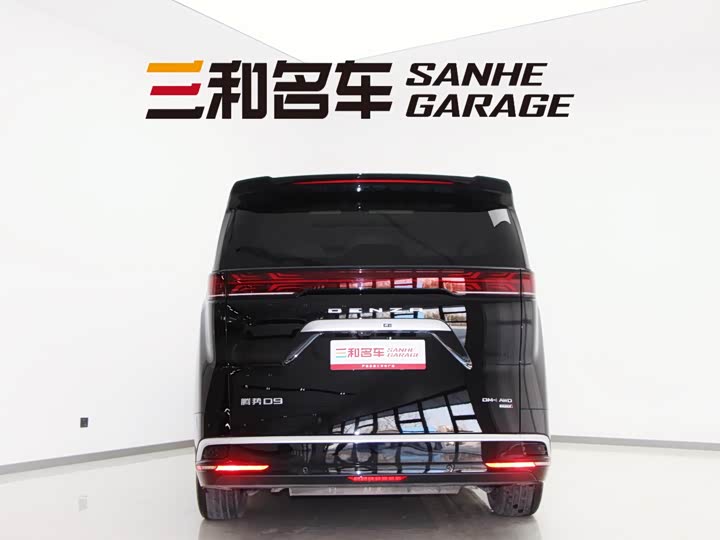 Фото 6 - Denza D9