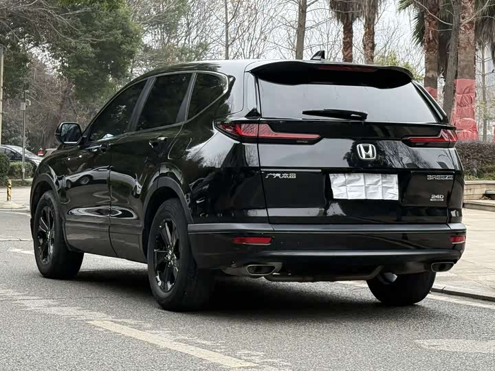 Фото 9 - Honda Breeze