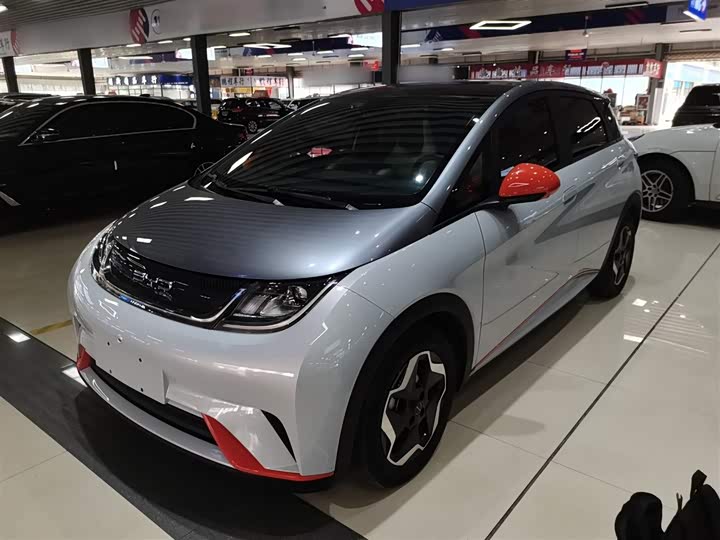 Фото 2 - BYD Dolphin