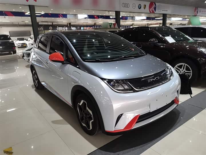 Фото 4 - BYD Dolphin