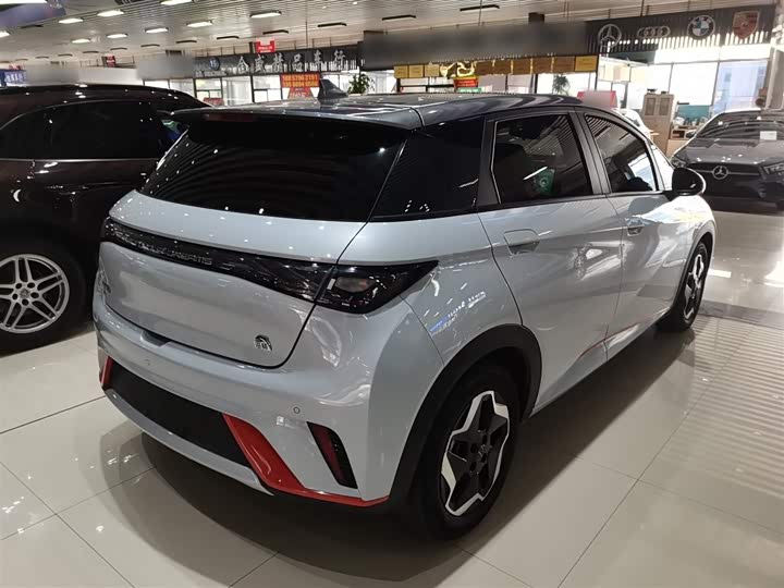 Фото 7 - BYD Dolphin