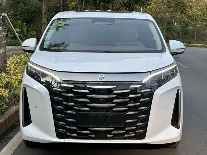 Фото 2 - BYD Xia