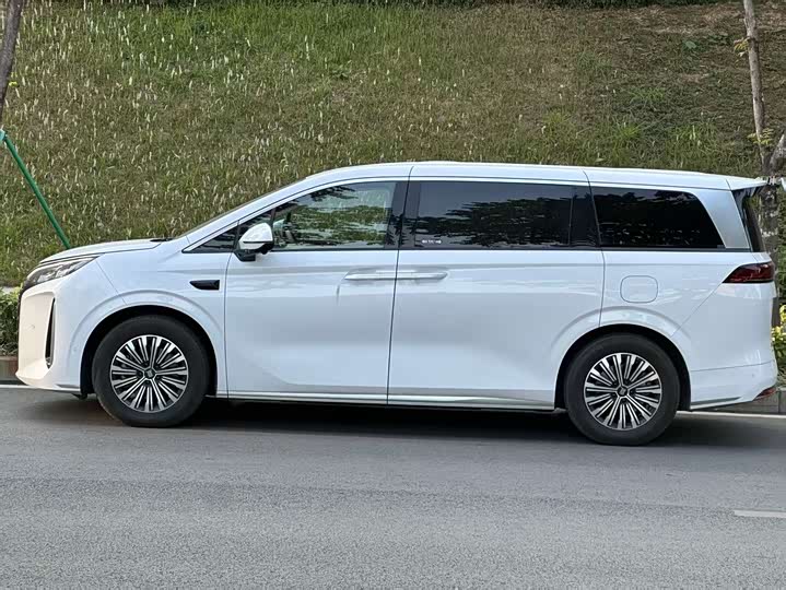 Фото 3 - BYD Xia