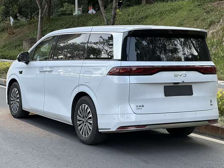 Фото 4 - BYD Xia