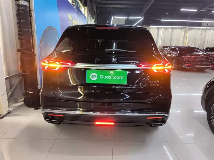 Фото 6 - Hongqi HS5