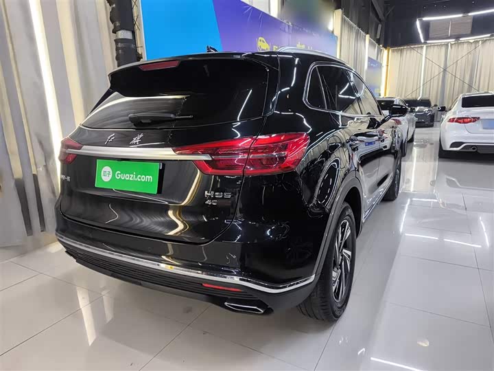 Фото 7 - Hongqi HS5