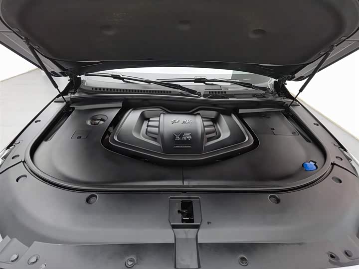 Фото 6 - Hongqi HS7