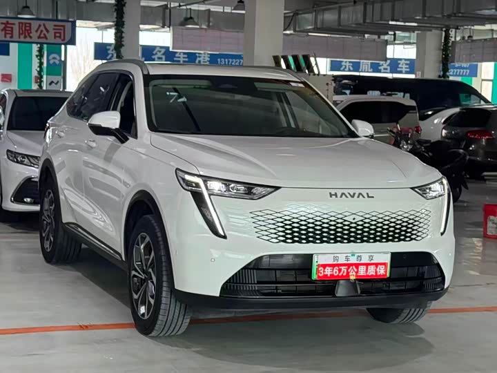 Фото 3 - Haval Ruge Max