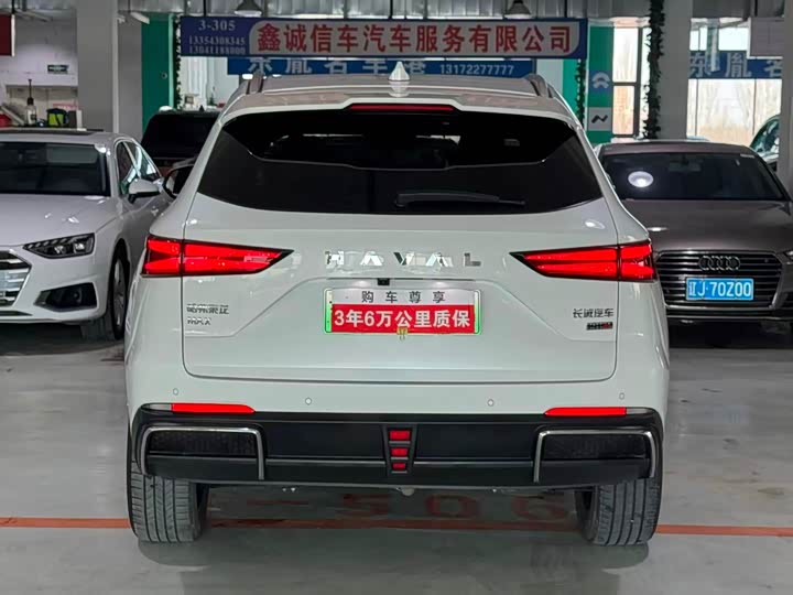 Фото 4 - Haval Ruge Max