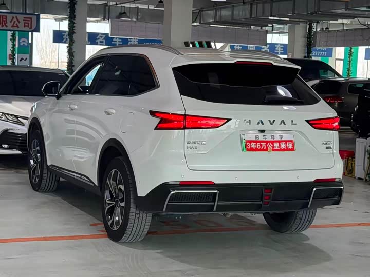Фото 5 - Haval Ruge Max