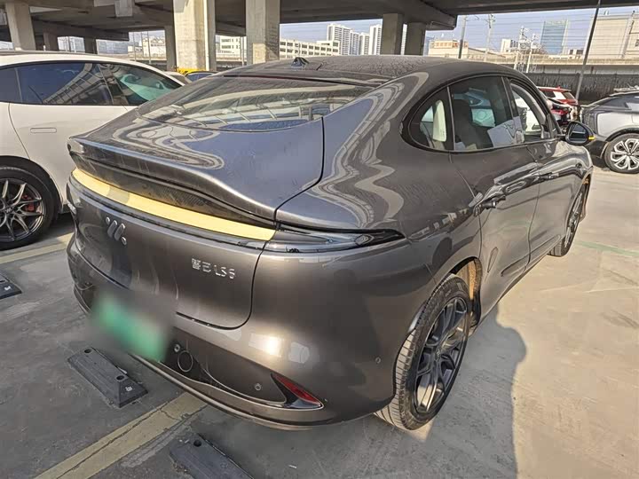 Фото 7 - IM motors LS6