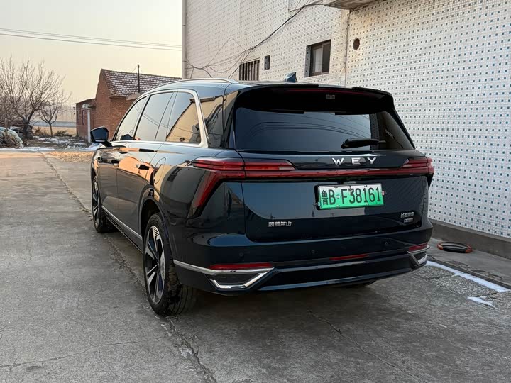 Фото 2 - Wey Lanshan