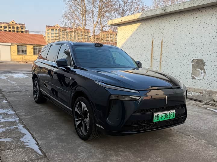 Фото 4 - Wey Lanshan