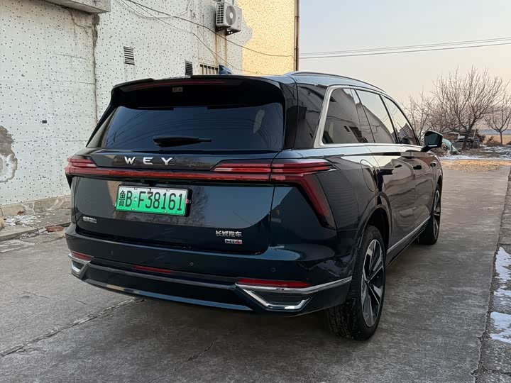 Фото 6 - Wey Lanshan